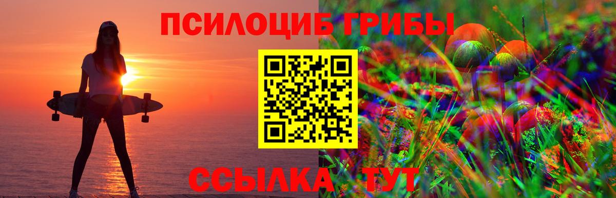 Владивосток  Галлюциногенные грибы GOLDEN TEACHER  купить наркоту  Вход с VPN  Галлюциногенные грибы ЛСД 